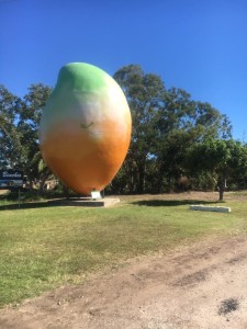 big mango
